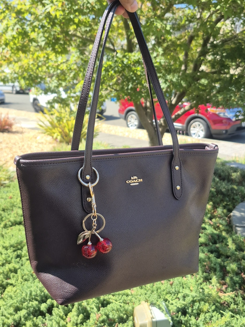 Mini Coach Pebbled Leather Tote Bag in Dark Brown